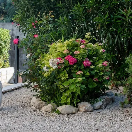 Peaceful Haven Near The Sea-apartments Torlak Rab Apartman