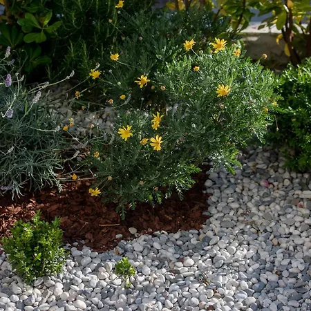 Peaceful Haven Near The Sea-apartments Torlak Rab Apartman Banjol